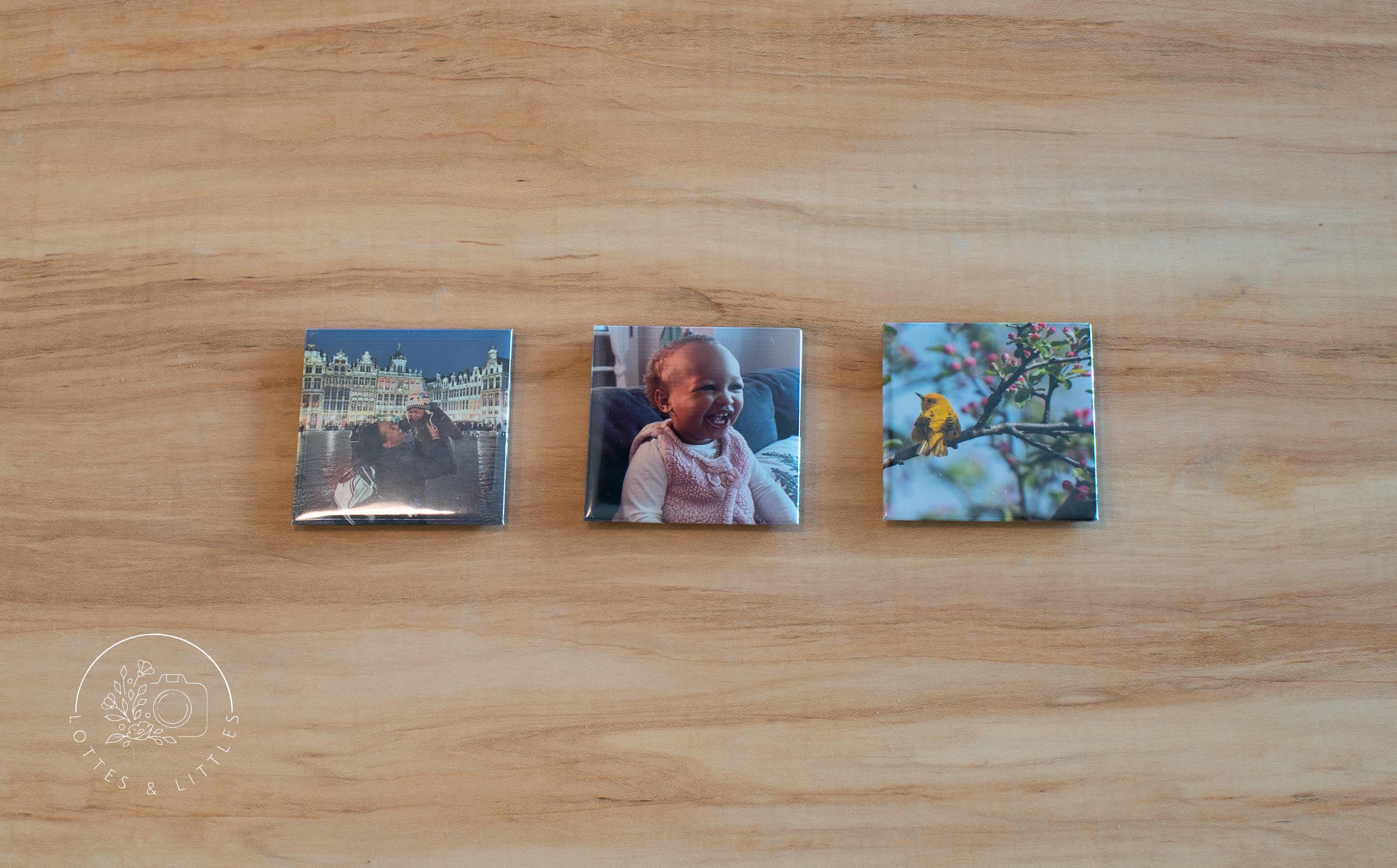 3 Pack 2x2" Square Magnets