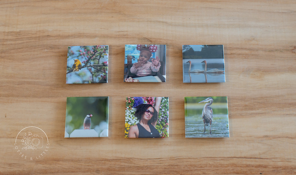 6 Pack 2x2" Square Magnets